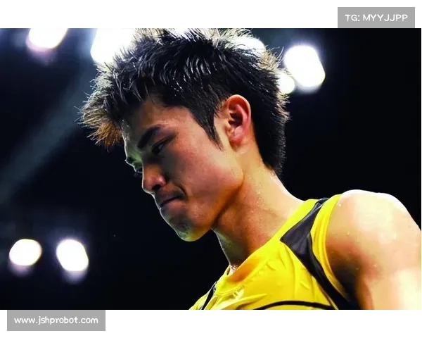 林丹2013年世锦赛,林丹2013年世界羽毛球锦标赛王者归来超级球星巅峰传奇时刻全景回顾